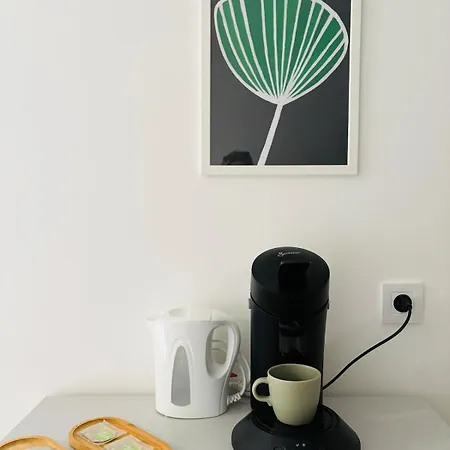 Proche Gare & Centre Castres (Tarn)