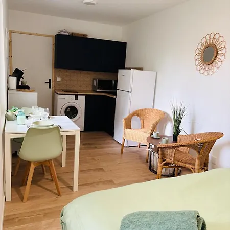 Appartamento Proche Gare & Centre Castres (Tarn)