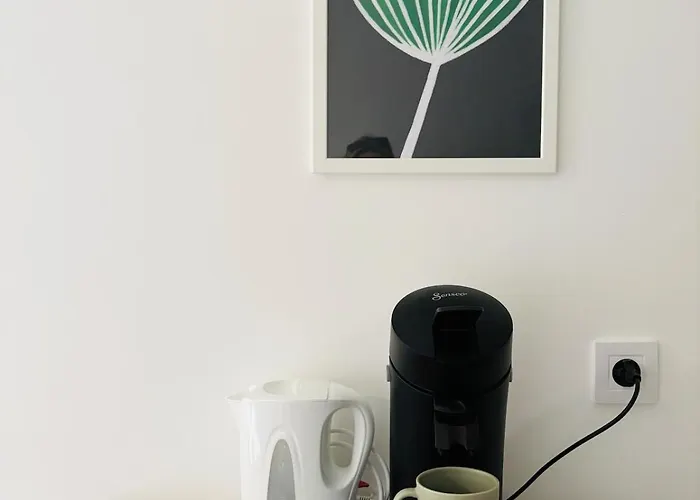 Proche Gare&centre Castres (Tarn)