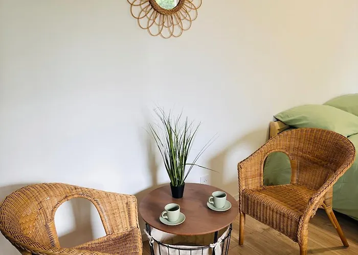 Appartamento Proche Gare&centre Castres (Tarn)